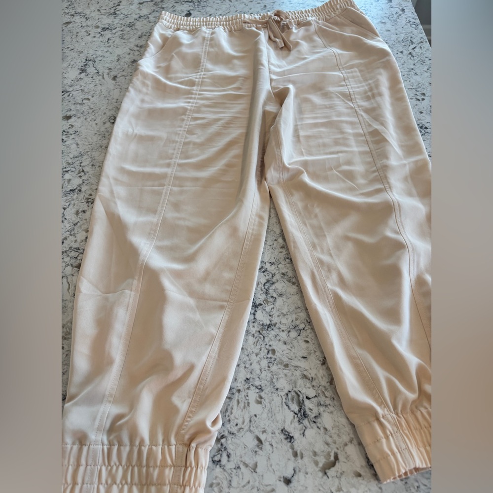 10 Derek Lam Crosby Beige Jogger Pants 16